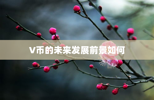 V币的未来发展前景如何