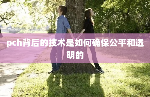 pch背后的技术是如何确保公平和透明的