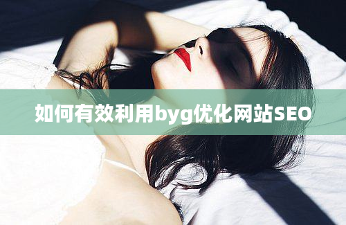 如何有效利用byg优化网站SEO