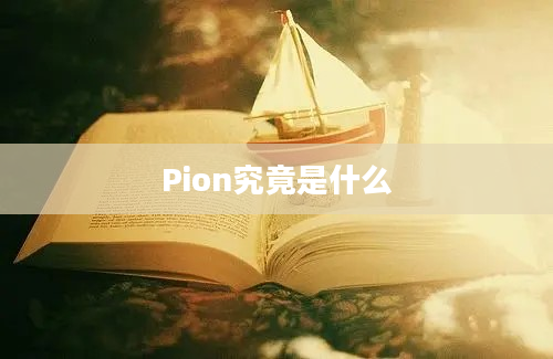 Pion究竟是什么