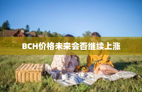 BCH价格未来会否继续上涨