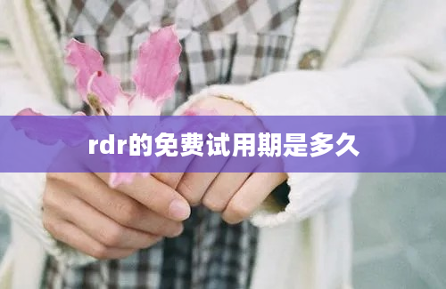 rdr的免费试用期是多久