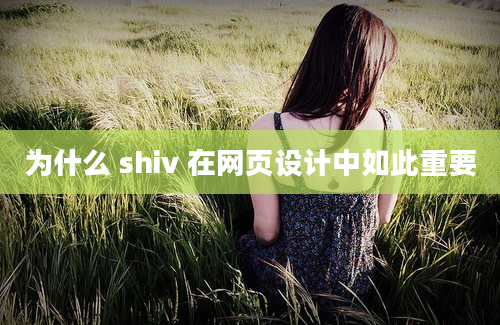 为什么 shiv 在网页设计中如此重要