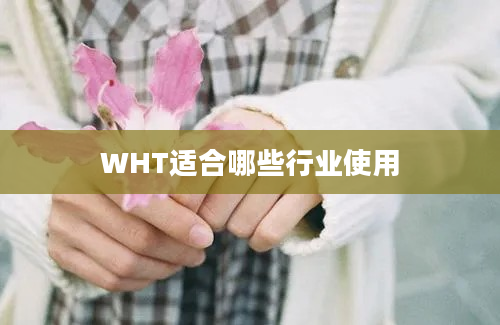 WHT适合哪些行业使用