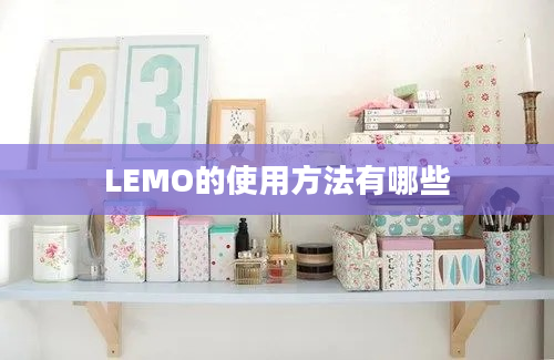 LEMO的使用方法有哪些