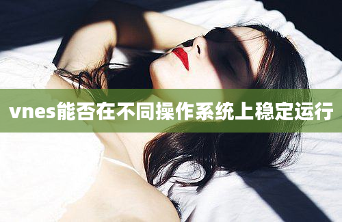 vnes能否在不同操作系统上稳定运行