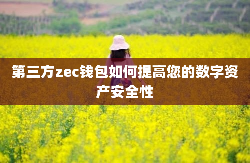 第三方zec钱包如何提高您的数字资产安全性