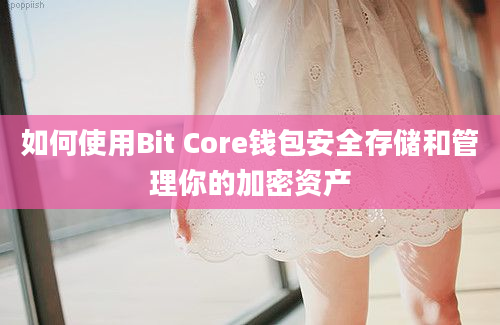 如何使用Bit Core钱包安全存储和管理你的加密资产