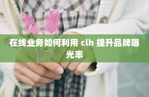 在线业务如何利用 clh 提升品牌曝光率