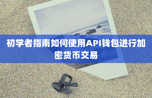 初学者指南如何使用API钱包进行加密货币交易