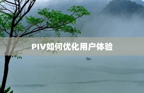 PIV如何优化用户体验