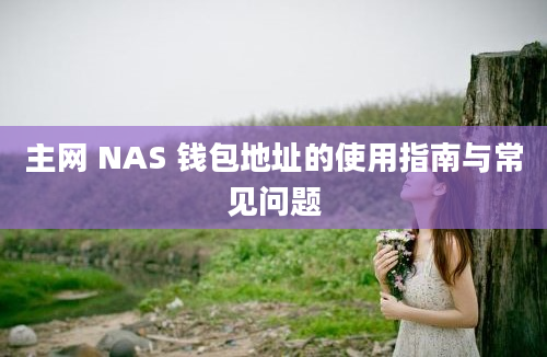 主网 NAS 钱包地址的使用指南与常见问题