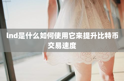 lnd是什么如何使用它来提升比特币交易速度