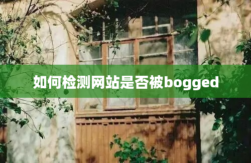 如何检测网站是否被bogged