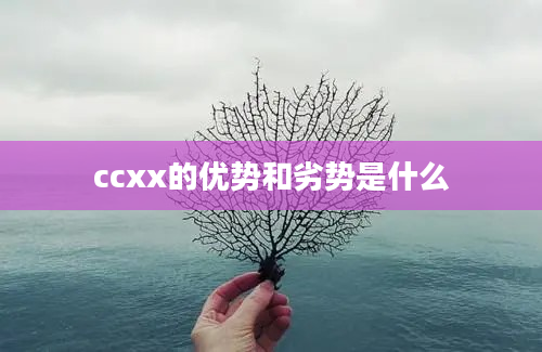 ccxx的优势和劣势是什么