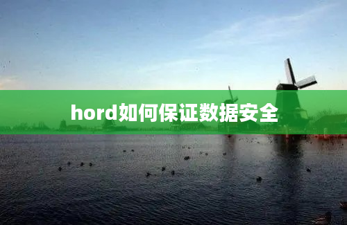 hord如何保证数据安全