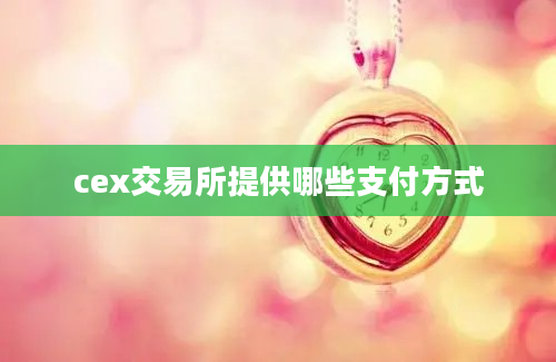 cex交易所提供哪些支付方式