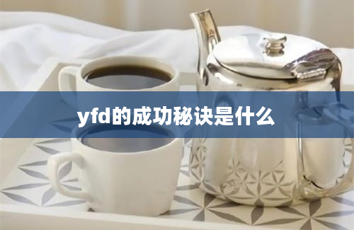 yfd的成功秘诀是什么