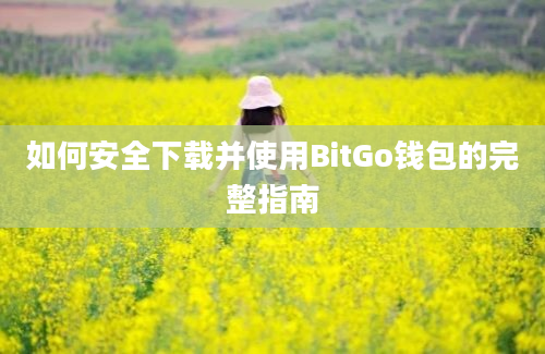 如何安全下载并使用BitGo钱包的完整指南