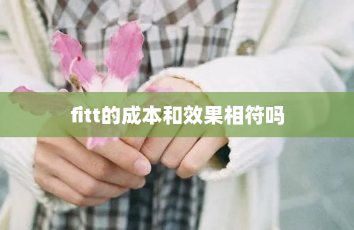 fitt的成本和效果相符吗