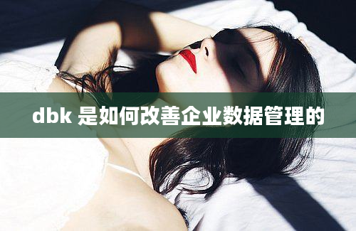 dbk 是如何改善企业数据管理的