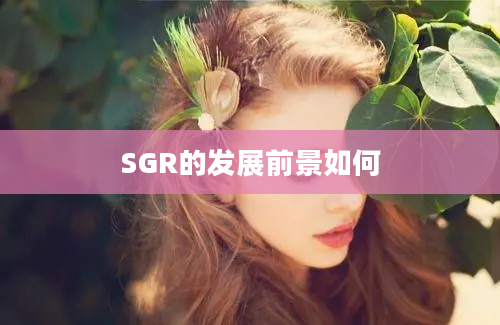 SGR的发展前景如何