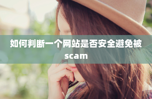 如何判断一个网站是否安全避免被scam