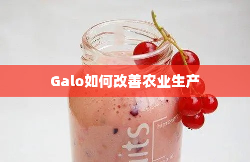 Galo如何改善农业生产