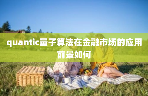 quantic量子算法在金融市场的应用前景如何