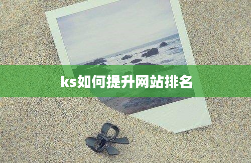 ks如何提升网站排名