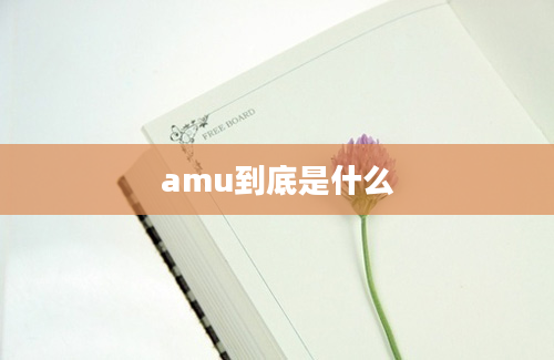 amu到底是什么