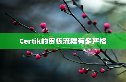 Certik的审核流程有多严格