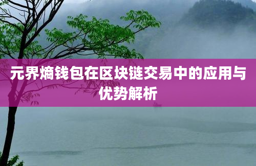 元界熵钱包在区块链交易中的应用与优势解析