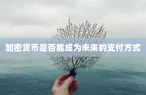 加密货币是否能成为未来的支付方式