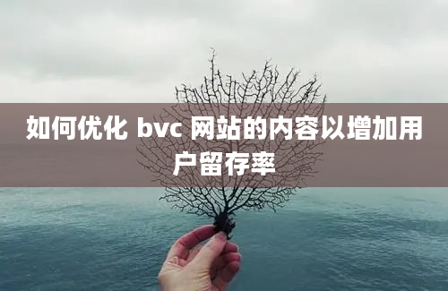 如何优化 bvc 网站的内容以增加用户留存率