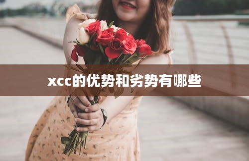 xcc的优势和劣势有哪些