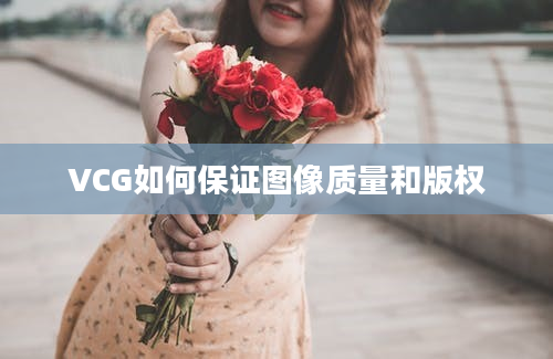 VCG如何保证图像质量和版权