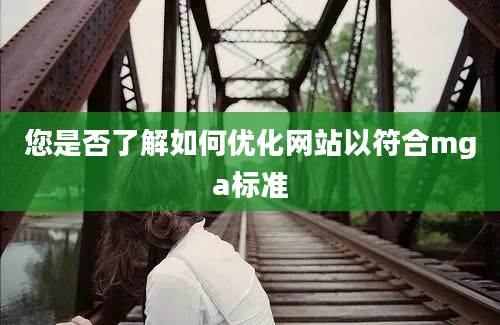 您是否了解如何优化网站以符合mga标准