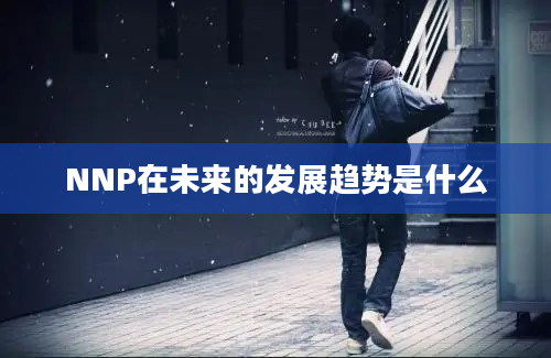 NNP在未来的发展趋势是什么