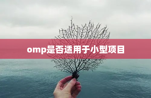 omp是否适用于小型项目