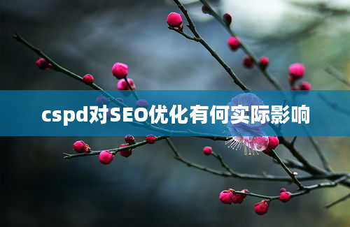 cspd对SEO优化有何实际影响