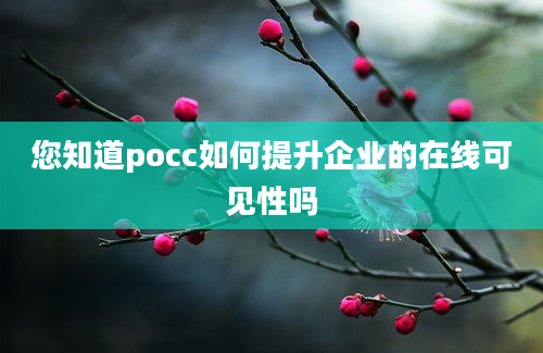 您知道pocc如何提升企业的在线可见性吗