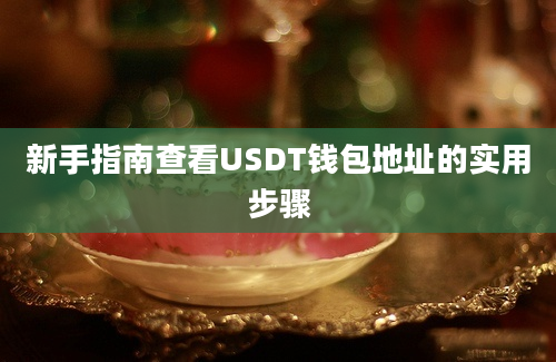 新手指南查看USDT钱包地址的实用步骤