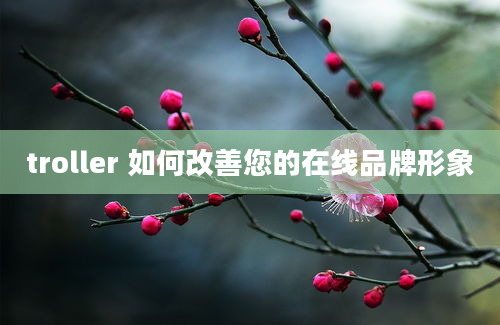 troller 如何改善您的在线品牌形象