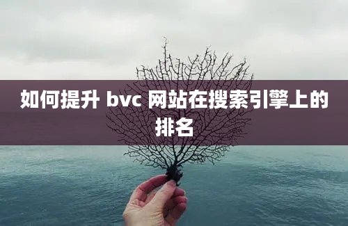 如何提升 bvc 网站在搜索引擎上的排名