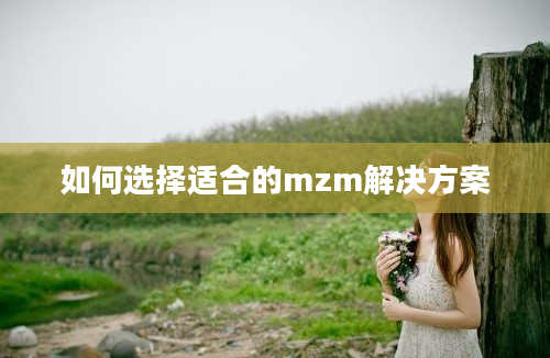 如何选择适合的mzm解决方案