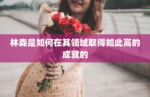 林森是如何在其领域取得如此高的成就的