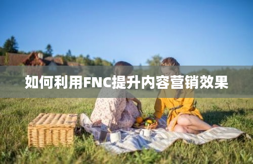 如何利用FNC提升内容营销效果