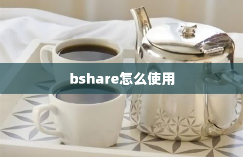 bshare怎么使用