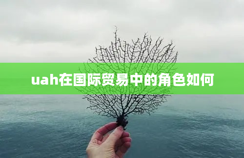 uah在国际贸易中的角色如何